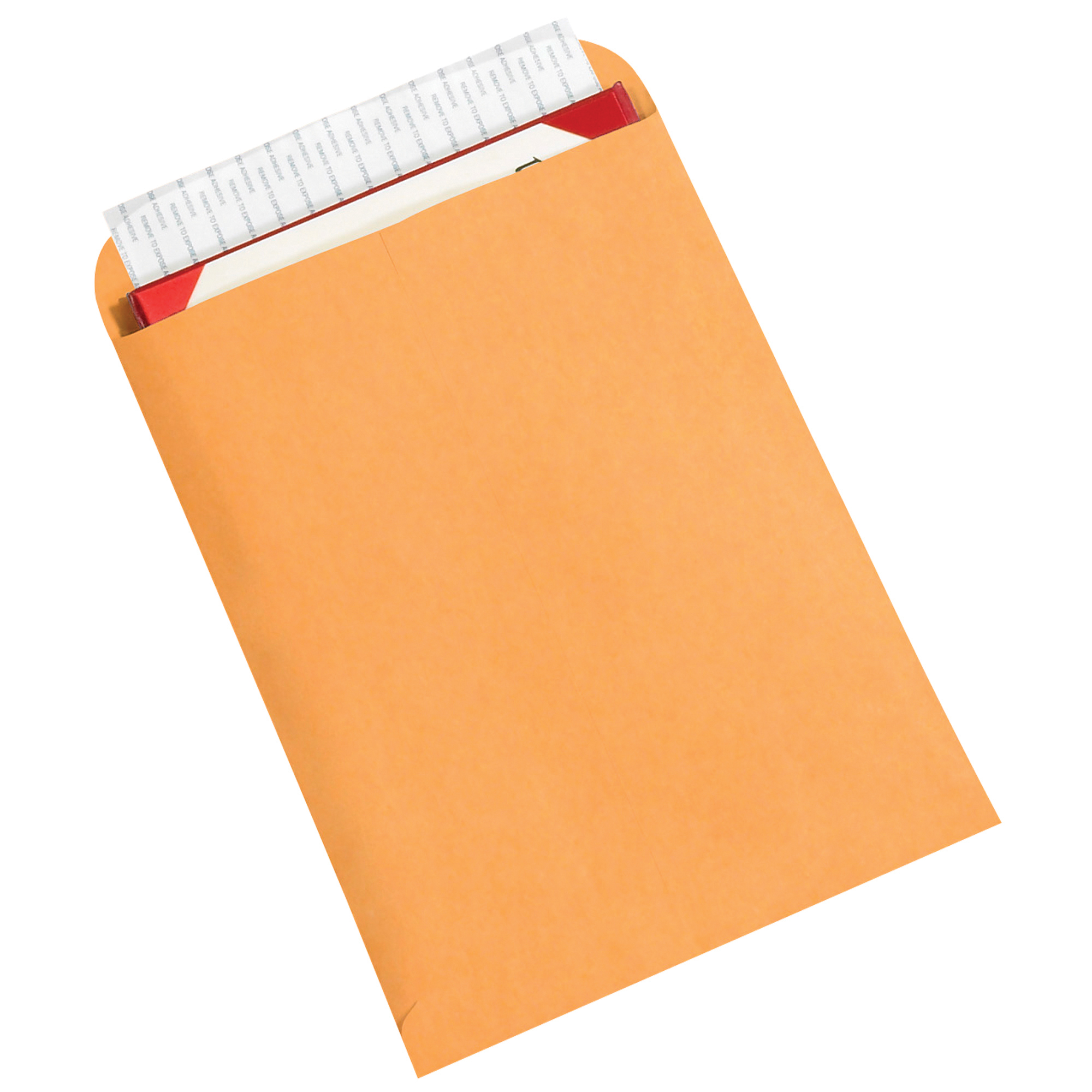Self-Seal Envelopes, 9" x 12", Kraft, 500/Case
