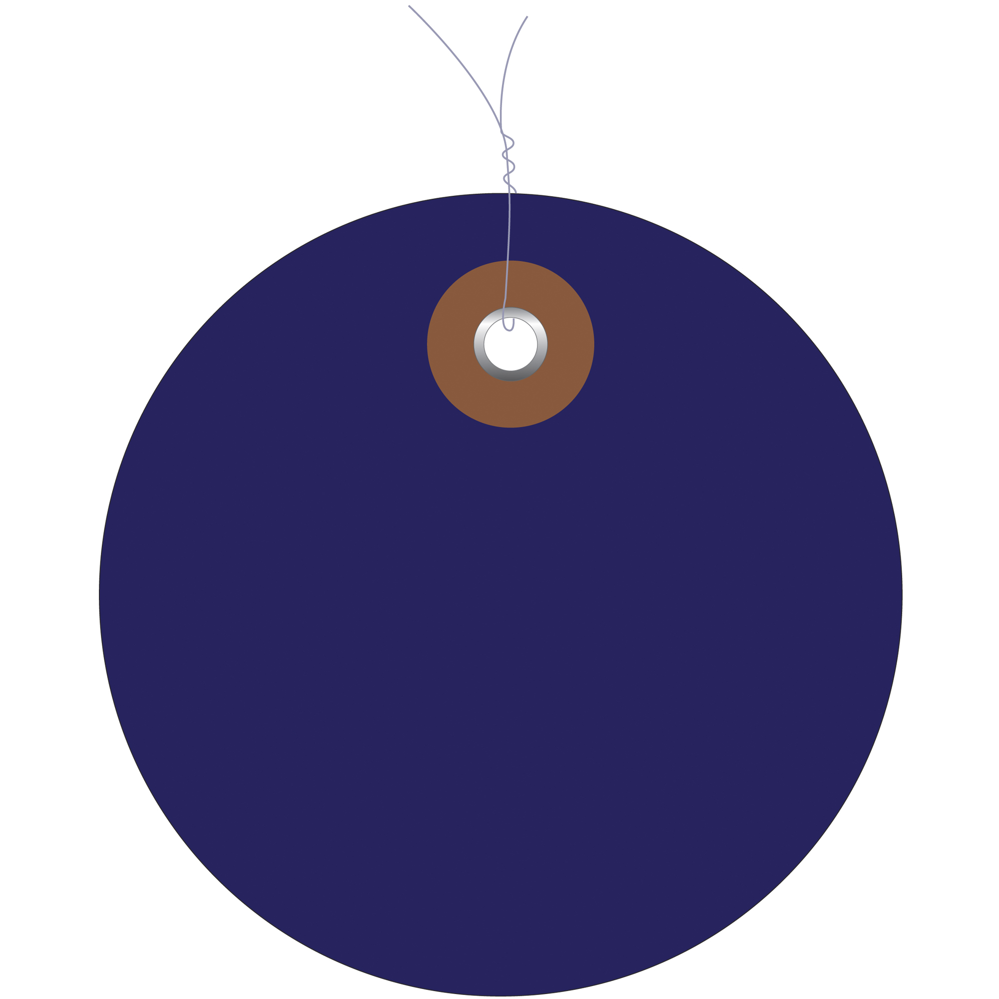 Plastic Circle Tags, Pre-Wired, 2", Blue, 100/Each
