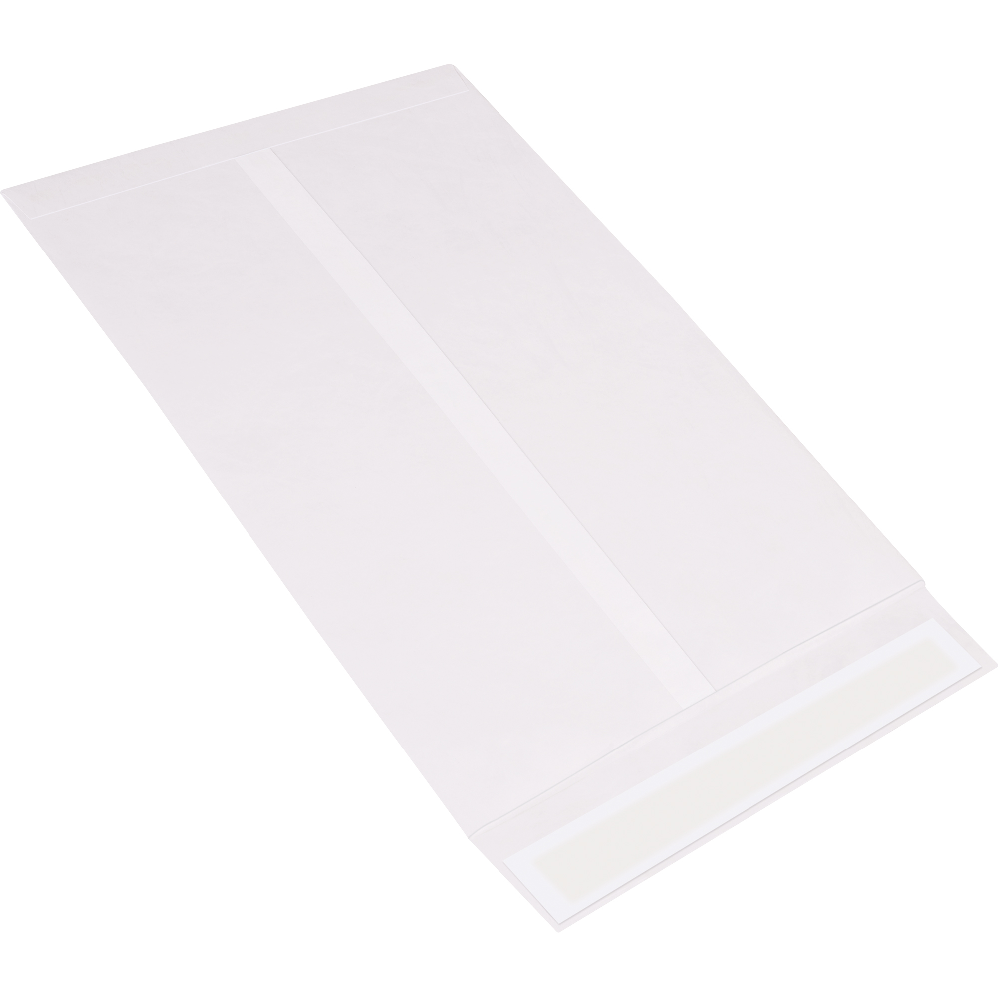 Tyvek® Flat Envelopes, 13" x 19", White, 100/Case