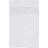 Flap Lock Poly Bags, 1 Mil, 9" x 12", Clear, 1000/Case