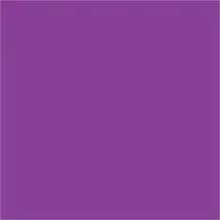 Tape Logic® Inventory Rectangle Labels, 4" x 4", Purple, 500/Roll