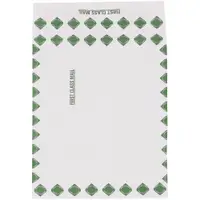 Tyvek® Expandable Envelopes, 12" x 16" x 2", First Class, White/Green, 100/Case