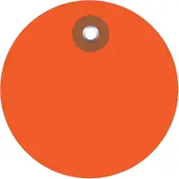 Plastic Circle Tags, 2", Orange, 100/Each