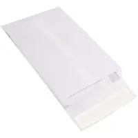 Tyvek® Expandable Envelope, 10" x 13" x 2", White, 100/Case
