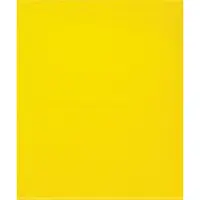 Flat 2 Mil Poly Bags, 15" x 18", Yellow, 1000/Case