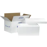 Insulated Shipping Kits, 17" x 10" x 8 1/4", White, 1/Case
