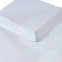 Tissue Paper Sheets, 20" x 30", White, 480/Case