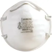 3M™ 8200 Dust Respirator, White, 160/Case