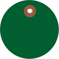 Plastic Circle Tags, 2", Green, 100/Each