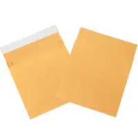 Expandable Self-Seal Envelopes, 10" x 12" x 2", Kraft, 100/Case