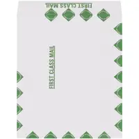 Tyvek® Flat Envelopes, 9" x 12", First Class, White/Green, 100/Case
