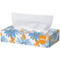 Kleenex® Facial Tissue, 2-Ply, White, 48/Case