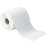 Desktop Direct Thermal Transfer Labels, 4" x 2", White, 12/Case