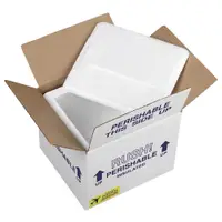 12" x 9 3/4" x 11" Overnite Insulated Shipper - 3/4" Foam Wall