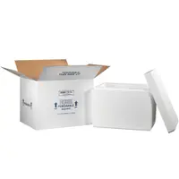 Insulated Shipping Kits, 21 1/4" x 15 1/2" x 15 1/2", White, 1/Case