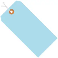 Shipping Tags, Pre-Strung, 13 Pt., 5 1/4" x 2 5/8", Light Blue, 1000/Case