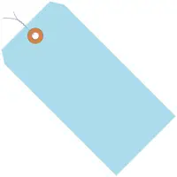 Shipping Tags, Pre-Wired, 13 Pt., 6 1/4" x 3 1/8", Light Blue, 1000/Case