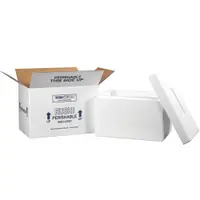 Insulated Shipping Kits, 17" x 10" x 10 1/2", White, 1/Case