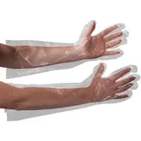 Poly Gloves, Elbow Length, 18", Clear, 100/Case