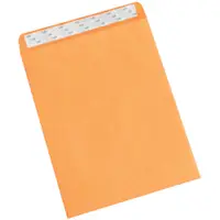 Self-Seal Envelopes, 10" x 13", Kraft, 500/Case