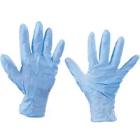 Nitrile Gloves, 6 Mil, Large, Blue, 100/Case