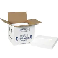 Insulated Shipping Kits, 10 1/2" x 8 1/4" x 9 1/4", White, 2/Case