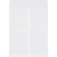 Jumbo Envelopes, 14" x 18", White, 250/Case