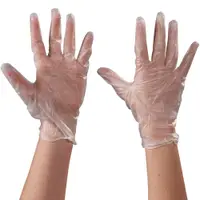 Vinyl Gloves, Powder Free, 5 Mil, Medium, Clear, 100/Case