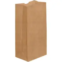 Grocery Bags, 6 5/16" x 4 1/8" x 13 3/8", Kraft, 500/Case