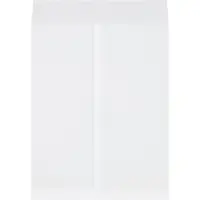 Jumbo Envelopes, 17" x 22", White, 250/Case