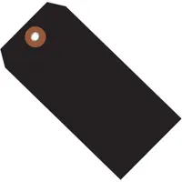 Plastic Shipping Tags, 4 3/4" x 2 3/8", Black, 100/Case
