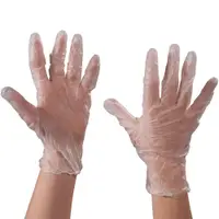 Vinyl Gloves, Powder Free, 3 Mil, Small, Clear, 100/Case