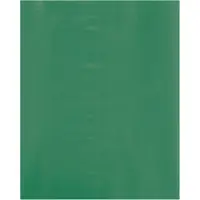 Flat Poly Bags, 2 Mil, 8" x 10", Green, 1000/Case