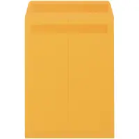 Redi-Seal Envelopes, 10" x 15", Kraft, 250/Case