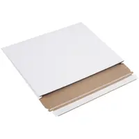 Stayflats Plus® Gusseted Mailers, 12-1/2" x 9-1/2" x 1", White, 100/Case