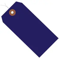Plastic Shipping Tags, Pre-Wired, 4 3/4" x 2 3/8", Blue, 100/Case