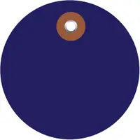 Plastic Circle Tags, 2", Blue, 100/Each