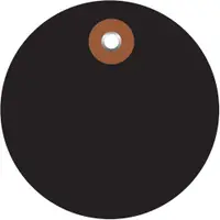 Plastic Circle Tags, 3", Black, 100/Each