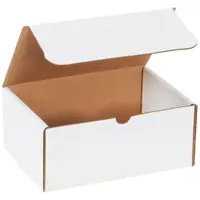 Literature Mailers, 9" x 6 1/4" x 4", White, 10/Bundle