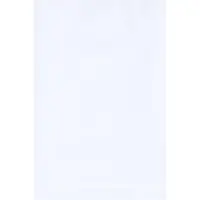 Flat 2 Mil Poly Bags, 4" x 6", White, 1000/Case