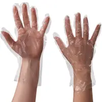 Poly Gloves, 1 Mil, Clear, 1000/Case