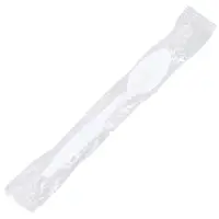 Individually Wrapped White Plastic Spoons, White, 1000/Case