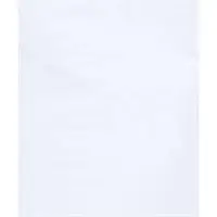 Flat 2 Mil Poly Bags, 15" x 18", White, 1000/Case