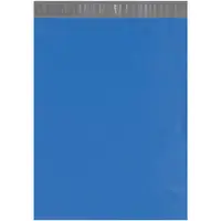 Poly Mailers, 14 1/2" x 19", Blue, 100/Case