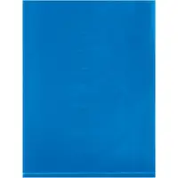 Flat 2 Mil Poly Bags, 9" x 12", Blue, 1000/Case