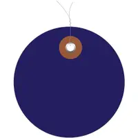 Plastic Circle Tags, Pre-Wired, 2", Blue, 100/Each