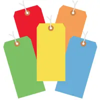 Shipping Tags, Pre-Strung, 13 Pt., 6 1/4" x 3 1/8", Assorted Color, 1000/Case