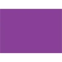Tape Logic® Inventory Rectangle Labels, 5" x 7", Purple, 500/Roll