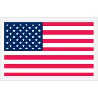 Tape Logic® "Packing List Enclosed" Envelopes, U.S.A. Flag, 5 1/4" x 8", Red/White/Blue, 1000/Case
